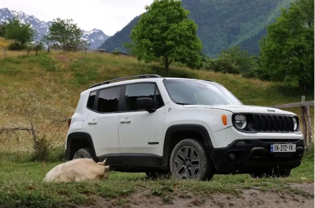 Jeep Renegade 2019 — airport car rental